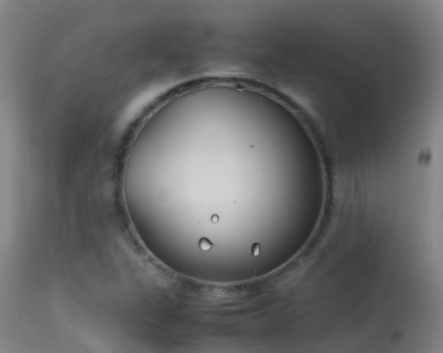 X0000114141311200910151559