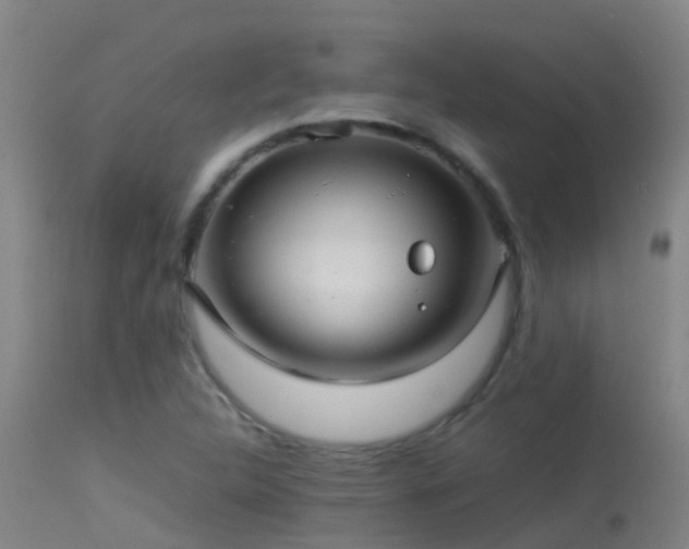 X0000114141312200910151559