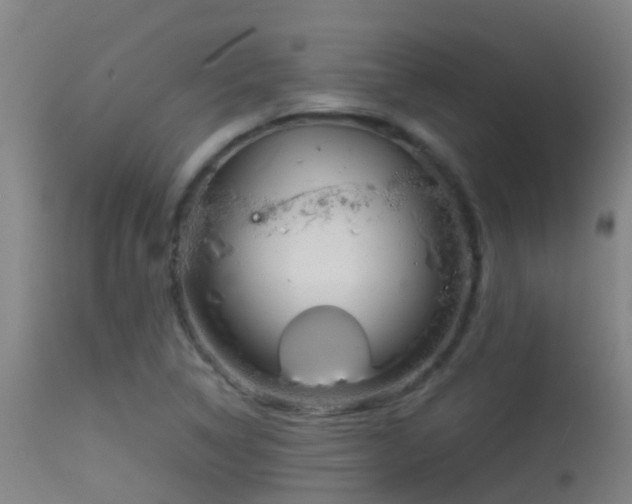 X0000114141314200910151559