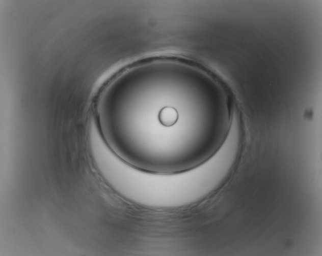 X0000114141316200910151559