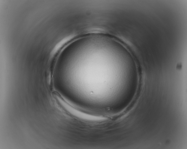 X0000114141317200910151559