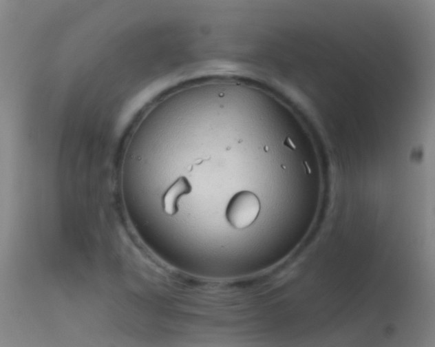 X0000114141318200910151559