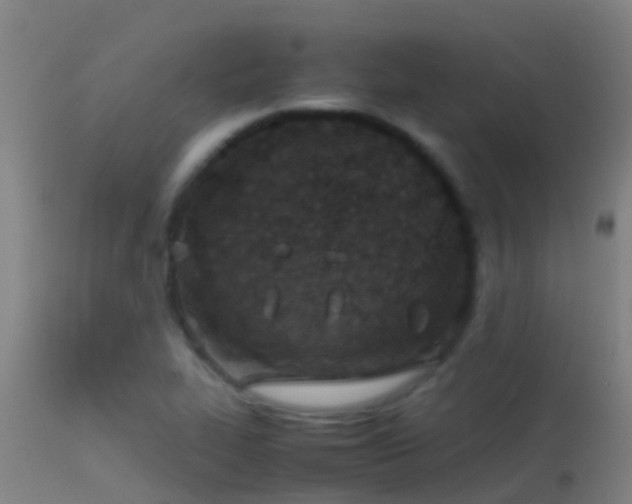 X0000114141319200910151559