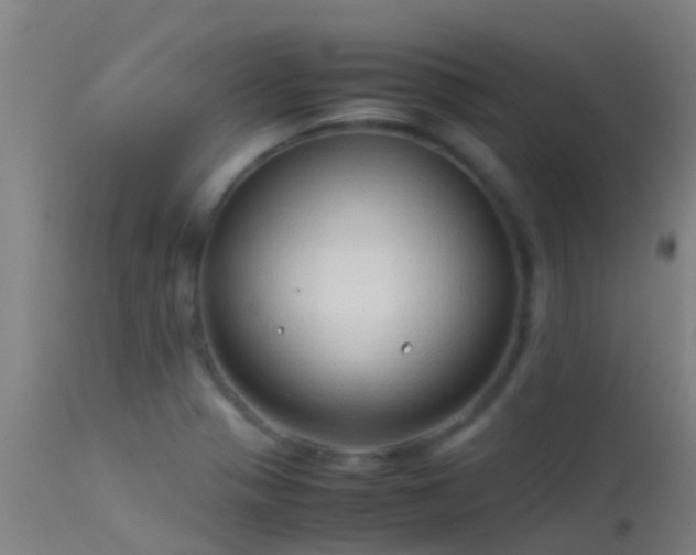 X0000114141321200910151559