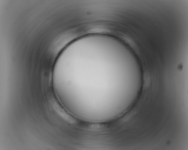 X0000114141322200910151559