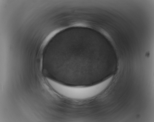 X0000114141323200910151559