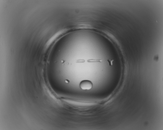 X0000114141325200910151559