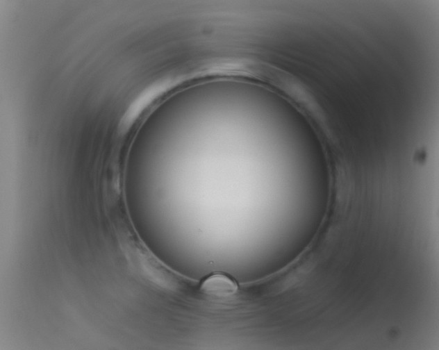 X0000114141328200910151559