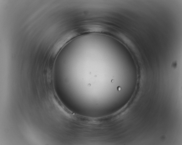 X0000114141329200910151559