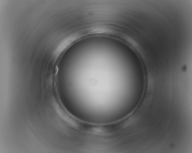 X0000114141330200910151559