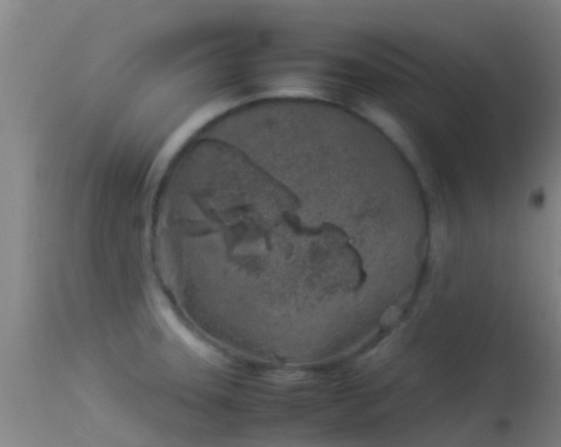 X0000114141331200910151559