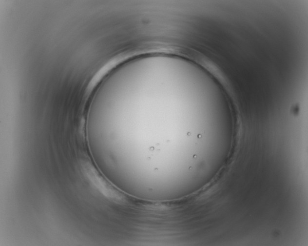 X0000114141332200910151559