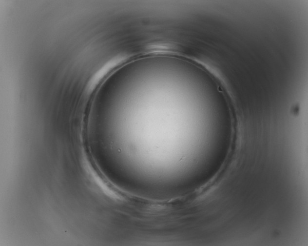 X0000114141333200910151559