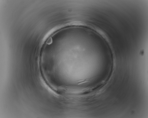 X0000114141334200910151559