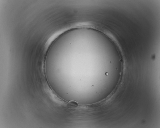 X0000114141336200910151600