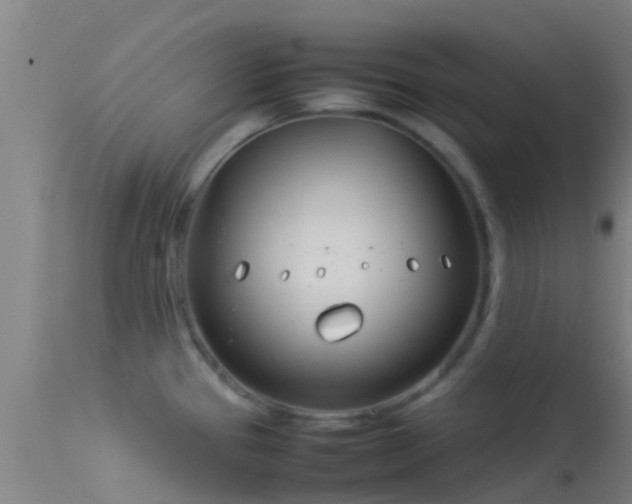 X0000114141337200910151600