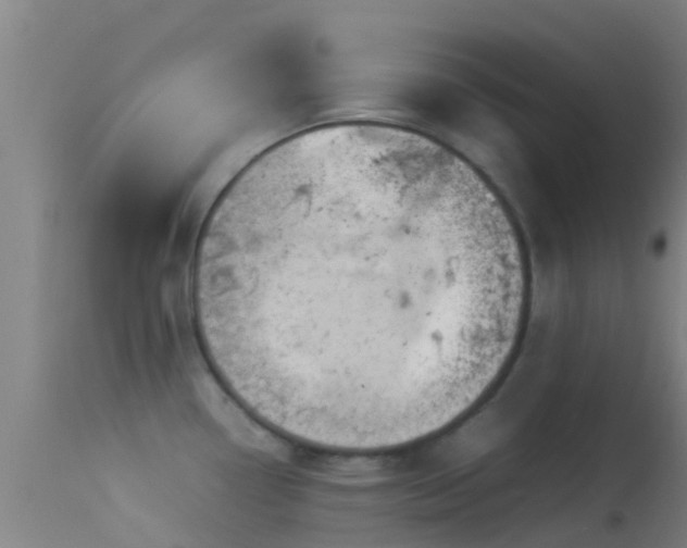 X0000114141338200910151600