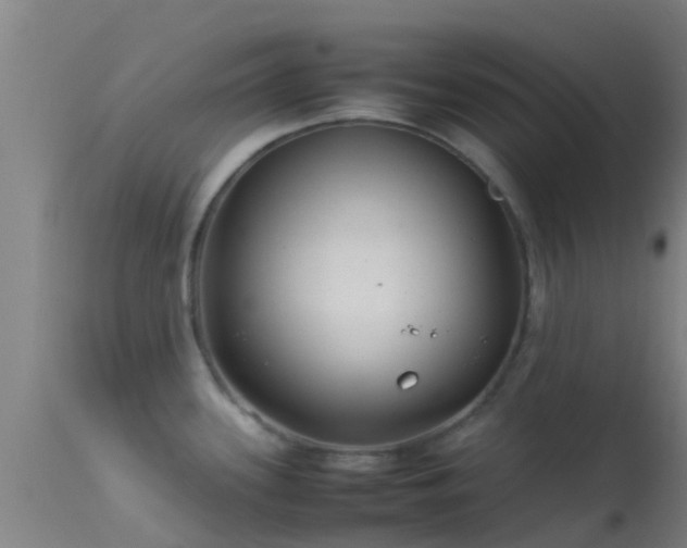 X0000114141339200910151600