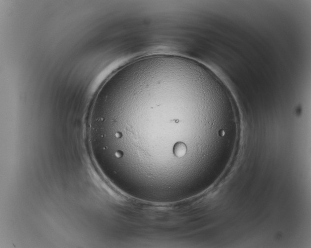 X0000114141341200910151600