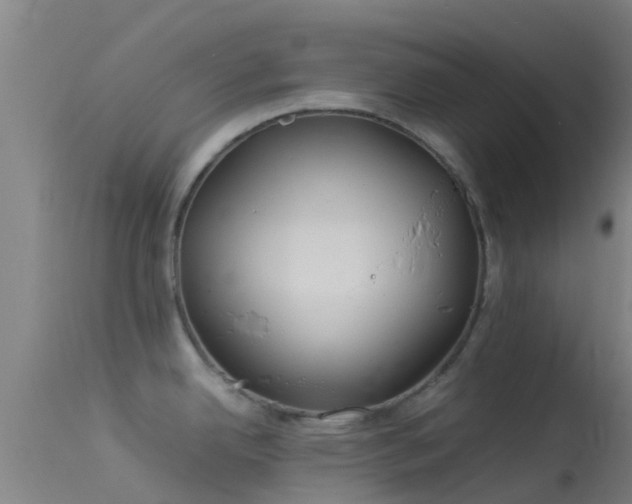 X0000114141342200910151600