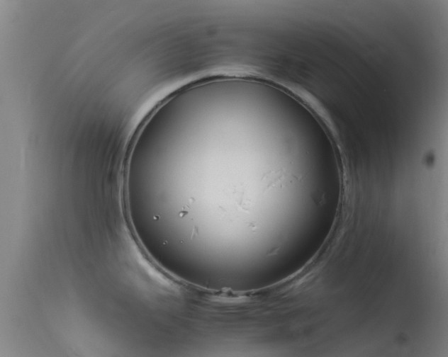 X0000114141343200910151600