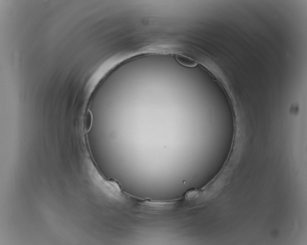 X0000114141344200910151600