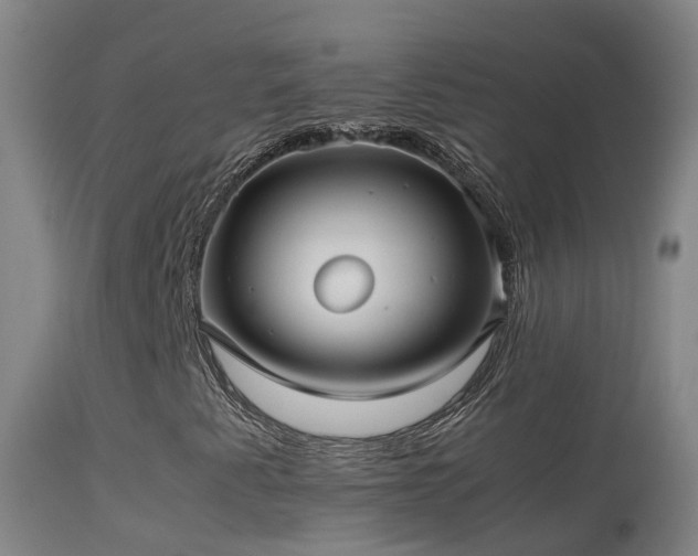 X0000114141345200910151559