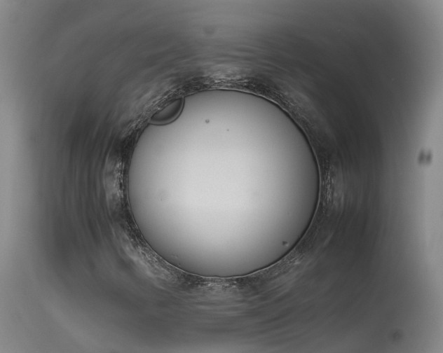 X0000114141346200910151559