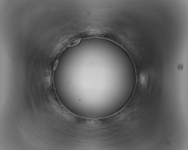 X0000114141348200910151559