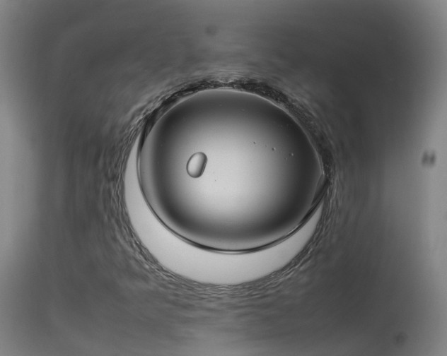 X0000114141349200910151559