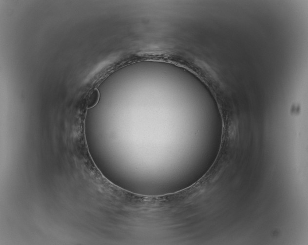 X0000114141350200910151559