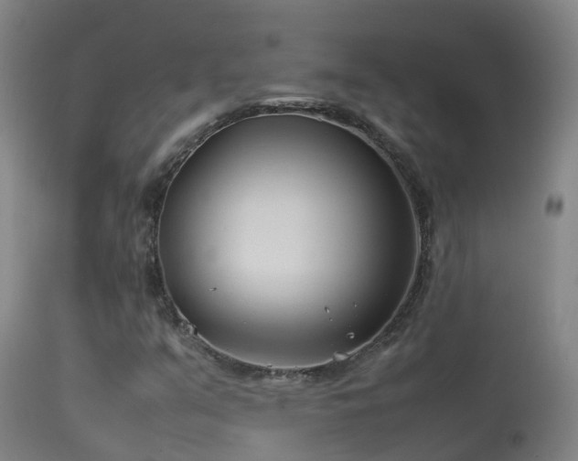 X0000114141351200910151559