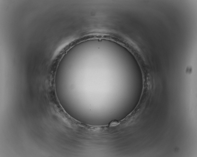 X0000114141352200910151559