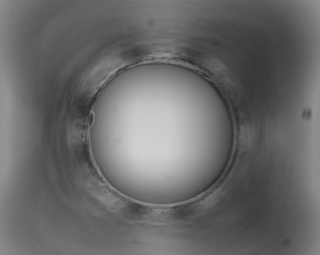 X0000114141353200910151559