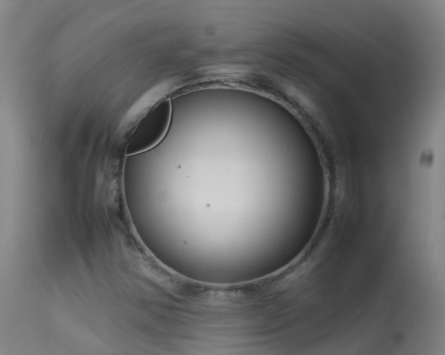 X0000114141354200910151559