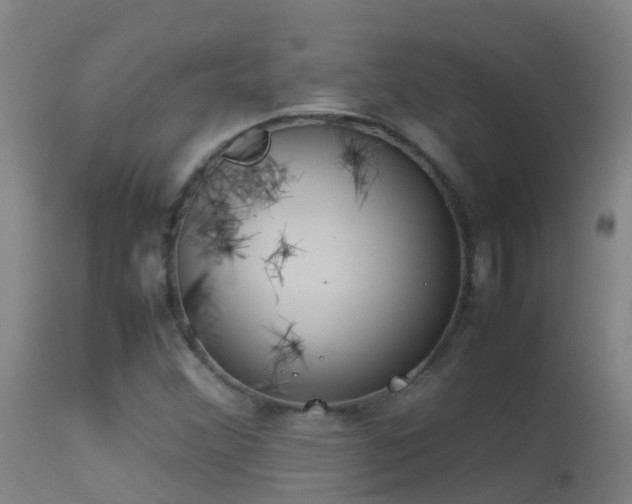 X0000114141356200910151559