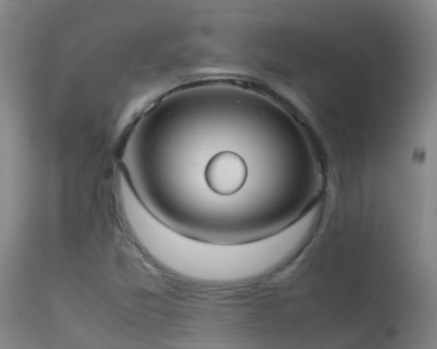 X0000114141357200910151559