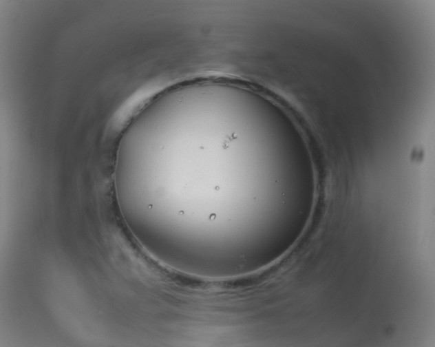 X0000114141359200910151559