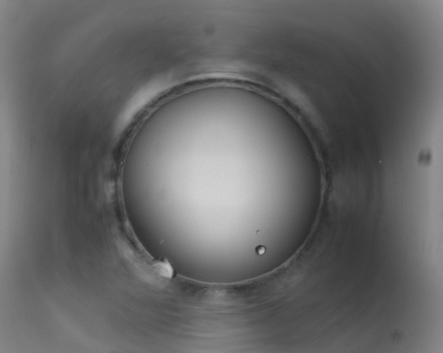 X0000114141360200910151559