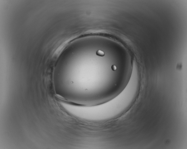 X0000114141361200910151559