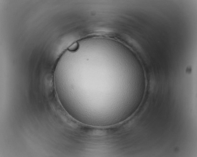 X0000114141362200910151559