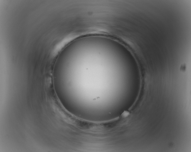 X0000114141363200910151559