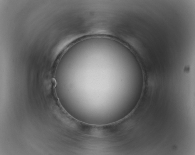 X0000114141364200910151559