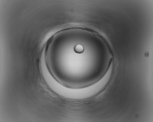 X0000114141365200910151559