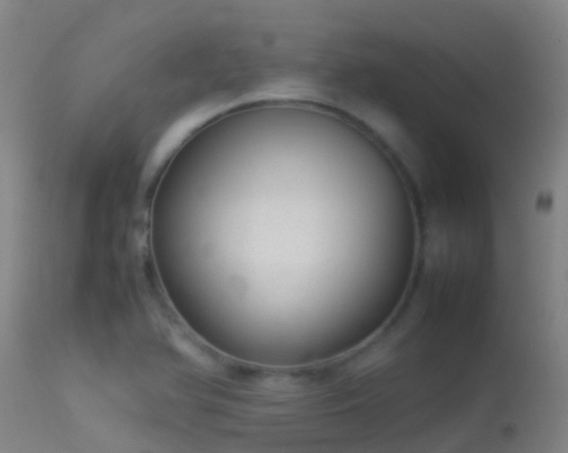 X0000114141366200910151559