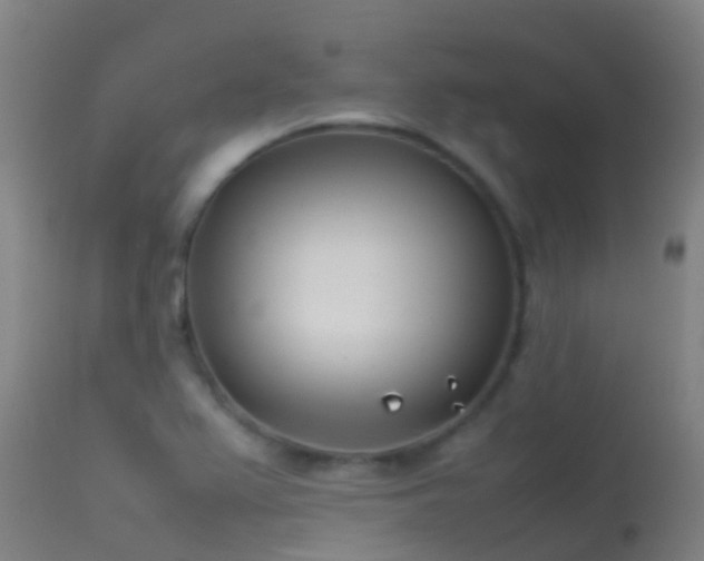 X0000114141367200910151558