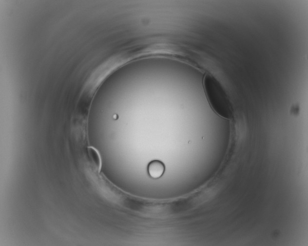 X0000114141369200910151558