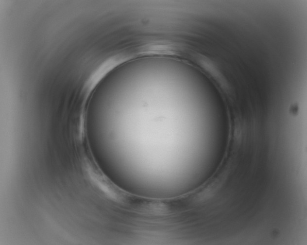 X0000114141370200910151558