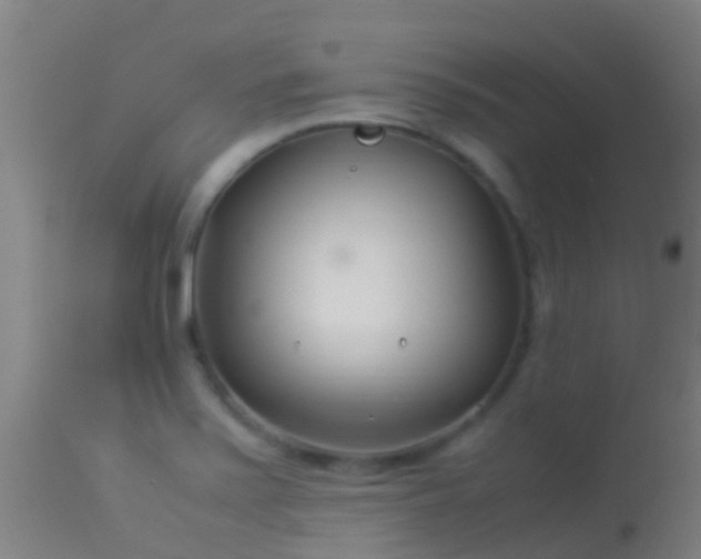 X0000114141371200910151558