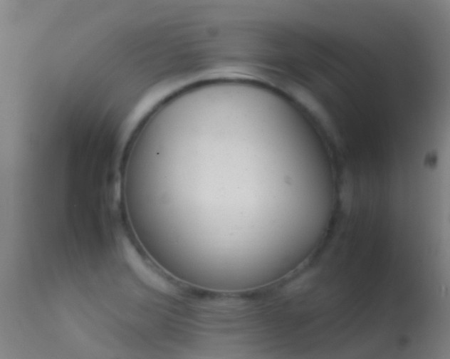 X0000114141372200910151558